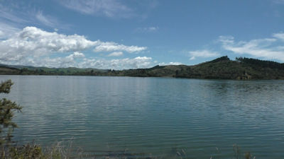 Tutira